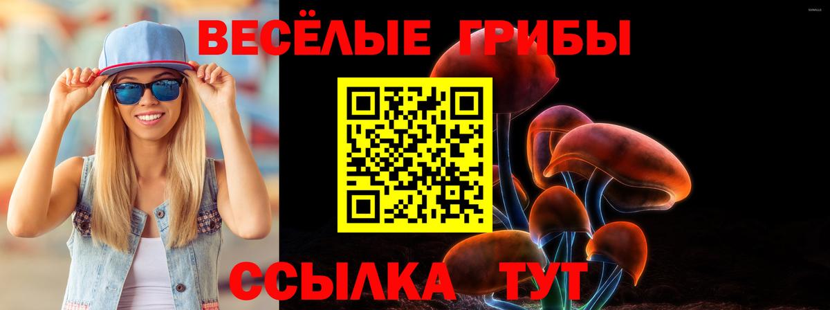 Галлюциногенные грибы MAGIC MUSHROOMS  Вход с VPN  Орехово-Зуево 